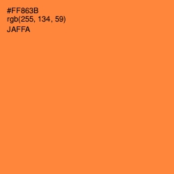 #FF863B - Jaffa Color Image