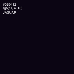 #0B0412 - Jaguar Color Image