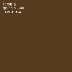 #573B1E - Jambalaya Color Image