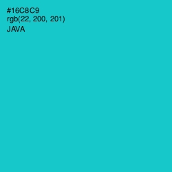 #16C8C9 - Java Color Image