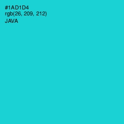 #1AD1D4 - Java Color Image