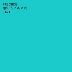 #1BCBCB - Java Color Image