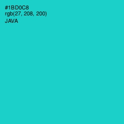 #1BD0C8 - Java Color Image