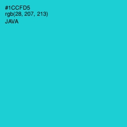 #1CCFD5 - Java Color Image
