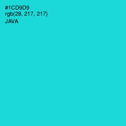 #1CD9D9 - Java Color Image