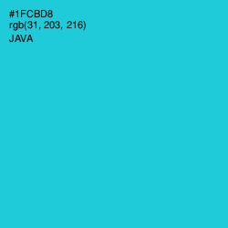 #1FCBD8 - Java Color Image