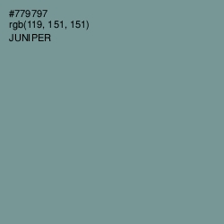 #779797 - Juniper Color Image