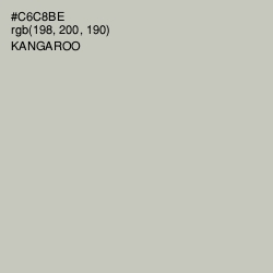 #C6C8BE - Kangaroo Color Image