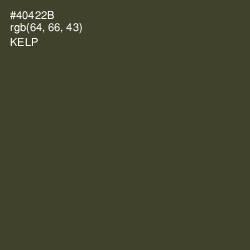 #40422B - Kelp Color Image