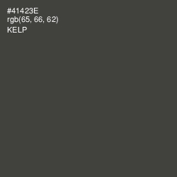 #41423E - Kelp Color Image