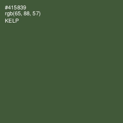 #415839 - Kelp Color Image