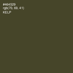 #464529 - Kelp Color Image
