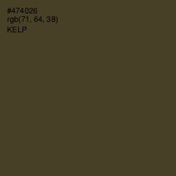 #474026 - Kelp Color Image