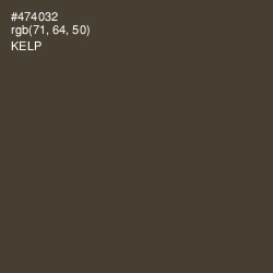 #474032 - Kelp Color Image