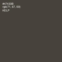 #47433B - Kelp Color Image