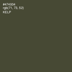 #474934 - Kelp Color Image