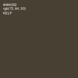 #484032 - Kelp Color Image