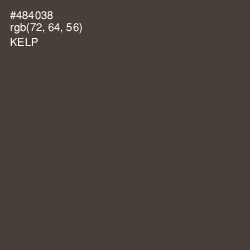 #484038 - Kelp Color Image