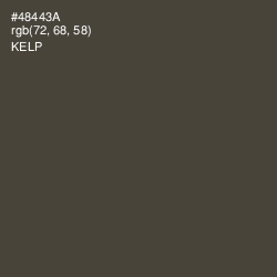 #48443A - Kelp Color Image
