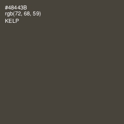 #48443B - Kelp Color Image