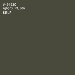 #49493C - Kelp Color Image