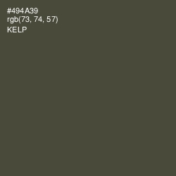 #494A39 - Kelp Color Image