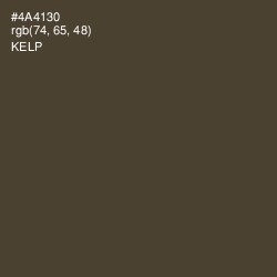 #4A4130 - Kelp Color Image
