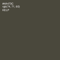 #4A473C - Kelp Color Image