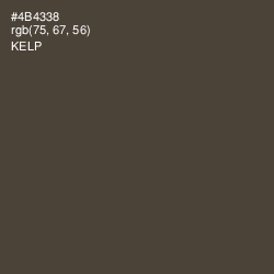 #4B4338 - Kelp Color Image