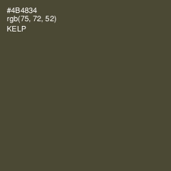 #4B4834 - Kelp Color Image