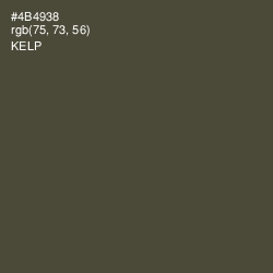 #4B4938 - Kelp Color Image