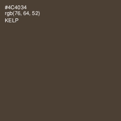 #4C4034 - Kelp Color Image