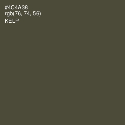 #4C4A38 - Kelp Color Image