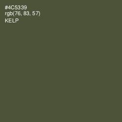 #4C5339 - Kelp Color Image