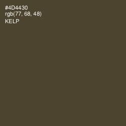 #4D4430 - Kelp Color Image