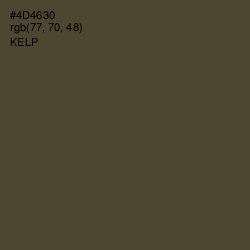 #4D4630 - Kelp Color Image