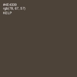 #4E4339 - Kelp Color Image