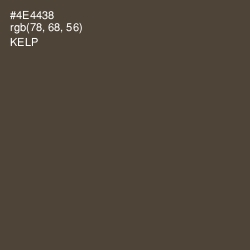 #4E4438 - Kelp Color Image