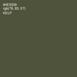 #4E5339 - Kelp Color Image