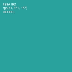 #29A19D - Keppel Color Image