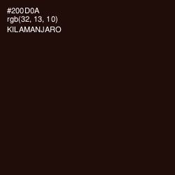 #200D0A - Kilamanjaro Color Image