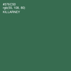 #376C50 - Killarney Color Image