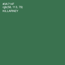 #3A714F - Killarney Color Image