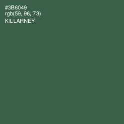 #3B6049 - Killarney Color Image