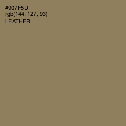 #907F5D - Leather Color Image