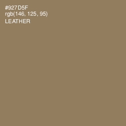 #927D5F - Leather Color Image