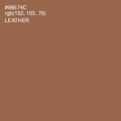 #98674C - Leather Color Image