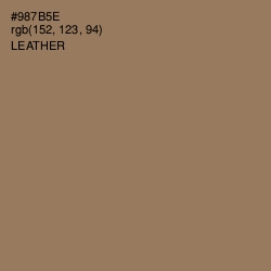 #987B5E - Leather Color Image