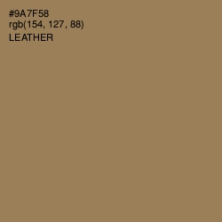 #9A7F58 - Leather Color Image