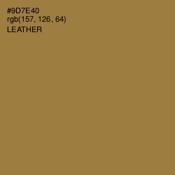 #9D7E40 - Leather Color Image
